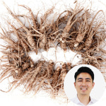 금산인삼 대명이네 인삼수삼 오쿠홍삼용 작콩난발삼 750g 한채 가정용 : 대명이네인삼농장