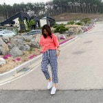 고방풀베기사업소 | 고방 체크 린넨 배기 팬츠 [무료배송] : 나쇼중