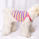 허니수니 강아지 줄무늬 하트 단추 나시티 S-XL 애견 옷 실내 중형견 웰시코기 여름 : 허니수니