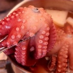 완도돌문어 1kg : 건강한 섬 전복