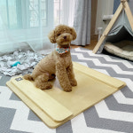 수제공작소 강아지 배변패드판 : 수제공작소