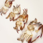 냉동 손질 절단 꽃게 450g 싸이즈S : 물고기삼촌