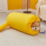 [페스룸] 드라이 자켓 강아지 고양이 전용 드라이룸 드라이자켓 : PETHROOM