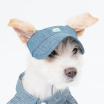 스니프 강아지 모자 썬캡 : 스탠바이펫