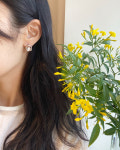 Circle earring/서클 귀걸이 : 알로하선샤인