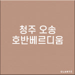 충북 청주 오송호반베르디움  H13헤파필터 (프리필터는 추가옵션에서 선택해주세요) : 클라떼