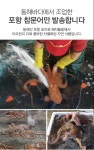 포항 구룡포 감포 호미곶 동해안 참문어 : SS농수산
