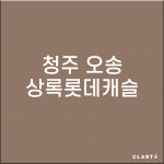 충북 청주 오송상록롯데캐슬 H13헤파필터 (프리필터는 추가옵션에서 선택해주세요) : 클라떼