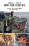 포항 구룡포 감포 호미곶 동해안 참문어 : SS농수산