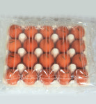 [난각1번] 자연방사 동물복지인증 무항생제 유정란 40구/20구/초란 - 오탄농장 : 양지마을오탄농장