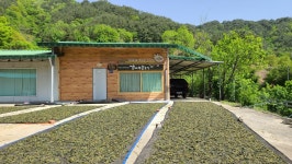 자연 산나물 삼종세트 : 한그루감나무골농장