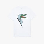 라코스테 x 장 미셀 틱시어 빅 로고 프린트 라운티 2종 / Lacoste x Jean-Michel Tixier Print 어썸블레어 : 어썸블레어 컴퍼니