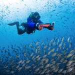 수중스쿠터 Sublue Navbow DPV 한국총판 프리다이빙 전동서핑제트서프보드 : Sublue Korea