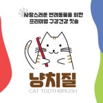 냥치질 고양이 강아지 칫솔 치석 입냄새 제거 이빨 구치 양치 양치질 치아관리 이닦기 4개 : 구구케어