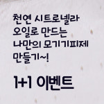 (1+1) 에어퍼퓸502 여름필수템 천연 시트로넬라 모기기피제 만들기 DIY 세트 : 오공이샵