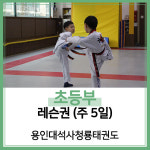 [용인대석사청룡태권도] 중등부 고등부 : 용인대석사청룡태권도