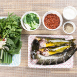 괴산 메기 빠가사리 민물매운탕 밀키트 : 괴산산막이매운탕