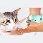 고양이 목욕 샤워 신발 할큄 방지 발톱 미용 관리 망 : okey shop