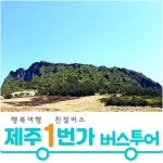 제주도패키지여행 제주감성 버스투어 3박4일 No옵션 효도관광 단체여행 홈쇼핑 미니버스대절 : 제주1번가여행사