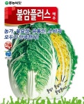 불암플러스 2000립 농가 육묘장 유통인 소비자 모두가 만족하는 김장배추 : 미래로팜