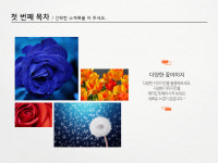 깔끔한 PPT템플릿/레포트/과제/하얀도화지 : 디자인제시