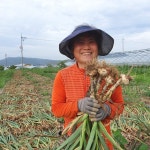 홍산마늘  중짜,소짜 10k : 삼수니농장 삼수니팜