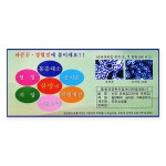 전우쇼핑몰 슈퍼파워칩(자석없음) 음양패치 음이온 : 동명건강포헬스