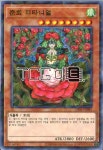 춘희티타니얼 (DBSS-KR041) Parallel Rare 한글판 유희왕 : TCG마트