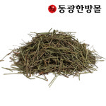 국내산 솔잎 600g : 동광한방몰
