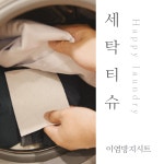 이염방지제 이염방지시트 세탁티슈 빨래먼지제거 흰옷검은옷 세탁법 : 리가샵