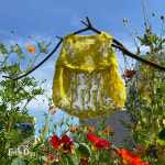 노랑이넝쿨채 여름 크롭탑 원피스 강아지옷 망사 애견옷 시원한 애견의류 고양이 피크닉 : 피트인도그