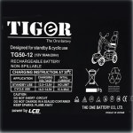 TG50-12 (12V 50AH) 전동휠체어 전동스쿠터 배터리 밧데리 (2개 1세트) : 비에스테크