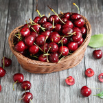 프리미엄 생 체리 1kg 2kg 9.5R 10.5R : 장보남