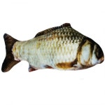 쿠치올로 물고기 캣닢/붕어 : 멍멍몰