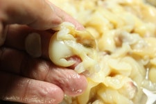 국내산 순살 명주조개살 1kg : 몽땅식품