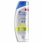Head and Shoulders 헤드앤숄더 인스턴트 오일 컨트롤 2 in 1 비듬방지 샴푸 컨디셔너 12.8oz (380ml) : 와이즈올