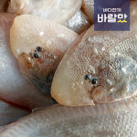 [바다한끼 바랄맛] 서해안 꼬마 항만박대 10미 /반건조,급냉 : 바다한끼 바랄맛