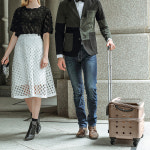 펍 아서 고양이 크레이트 애견 반려견 강아지 이동장 켄넬 캐리어 : 코코도도