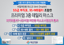 국내인증 비말차단마스크60매(30매X2박스)  일회용 덴탈 KFAD 3중필터 MB필터 의약외품 성적통과 : 태산약품