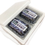 국산 무주 블루베리 생과 1kg (특대) : 무주아로니아