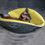 캣 베드 & 케이브 동굴형 하우스 : 너는펫