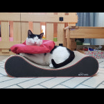 오케이펫코리아 다슬이 PILLOWD 고양이 스크래쳐 65cm 2개 양면 묘체공학 양면 : 오케이펫코리아