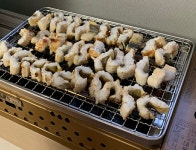보광수산 자연산 장어 통영장어 붕장어 바다장어 1kg : 보광수산