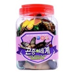 곤충의 세계  교육 완구 모형 : 맘앤터치