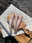 청정바다 제주앞바다 옥돔마을 제주 [옥돔(통) /반건조] 1kg : HNHfoodmarket
