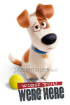 포스터 61x91 - 마이펫의 이중생활 / The Secret Life of Pets (Wish You Were Here) : 포스터하우스