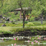 [제주도 패키지] 2박3일/메종글래드/ 노팁노옵션 - 산방산유람선+그림자공연+아쿠아플라넷 : 주식회사 투엔티파이브