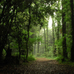 [제주도 패키지] 2박3일/메종글래드/ 노팁노옵션 - 산방산유람선+그림자공연+아쿠아플라넷 : 주식회사 투엔티파이브