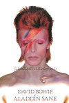 포스터 61x91 - 데이빗 보위 / David Bowie: Aladdin Sane : 포스터하우스