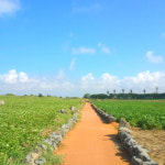 [제주도 패키지] 2박3일/아스타호텔/ 제주 한상차림 - 아쿠아플라넷+족욕+그림자공연+전 일정 특식 : 주식회사 투엔티파이브